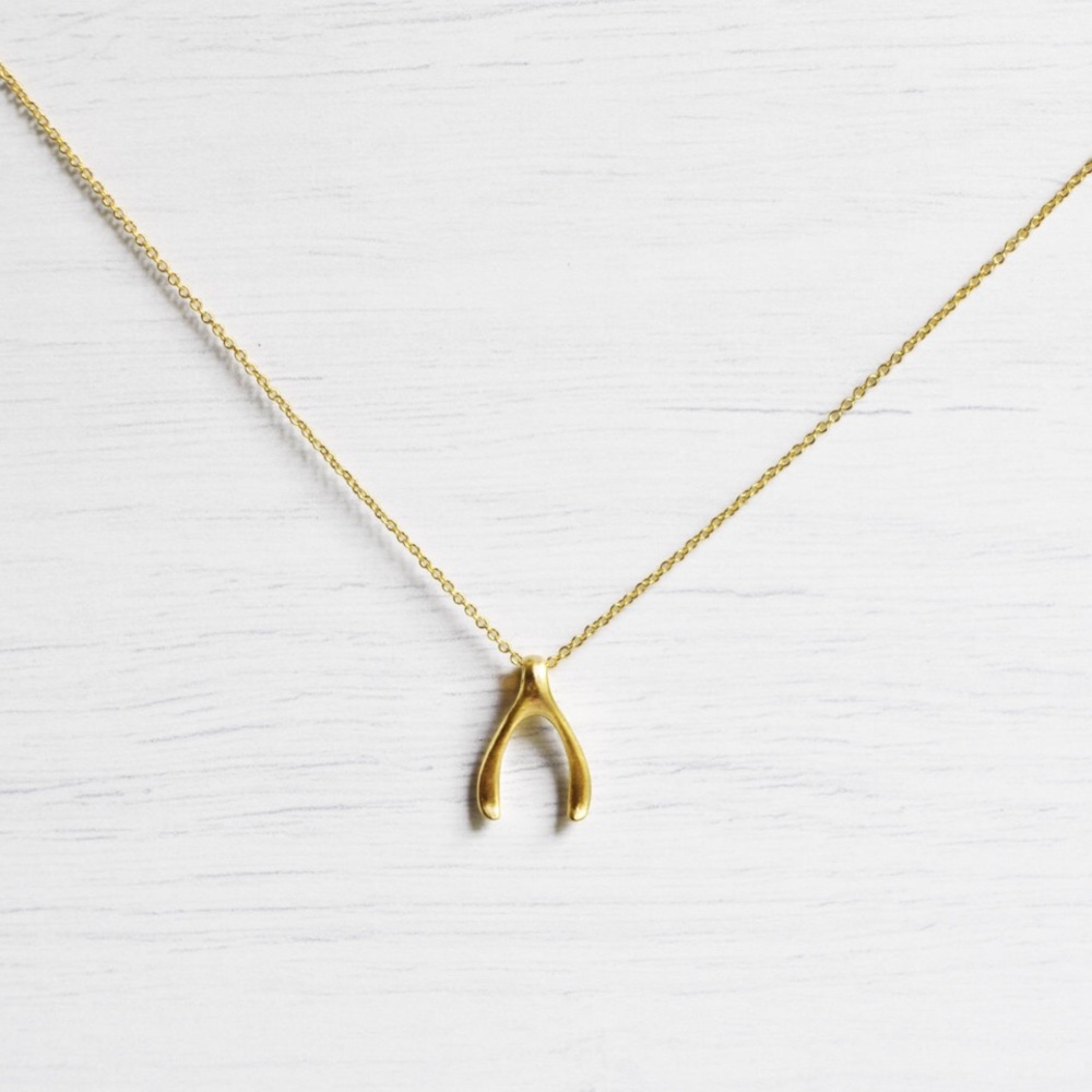 Tiny Delicate Wishbone Necklace
